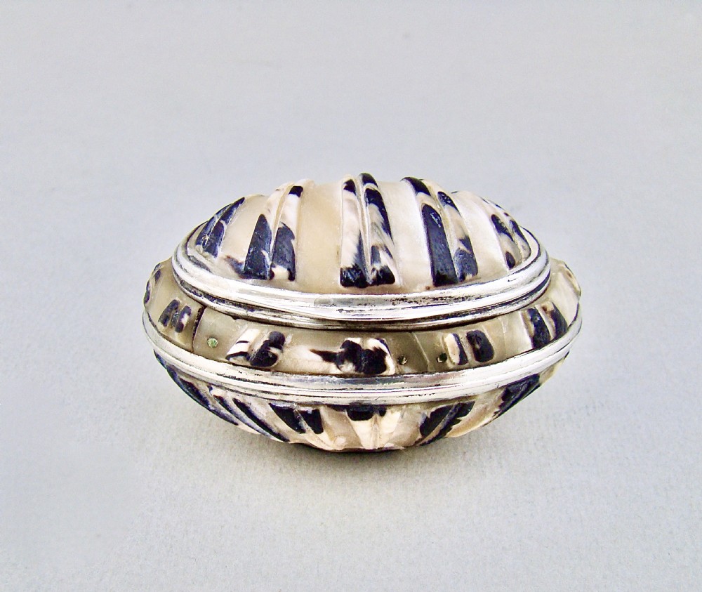 unusual georgian silver mounted shell snuff box circa 1790