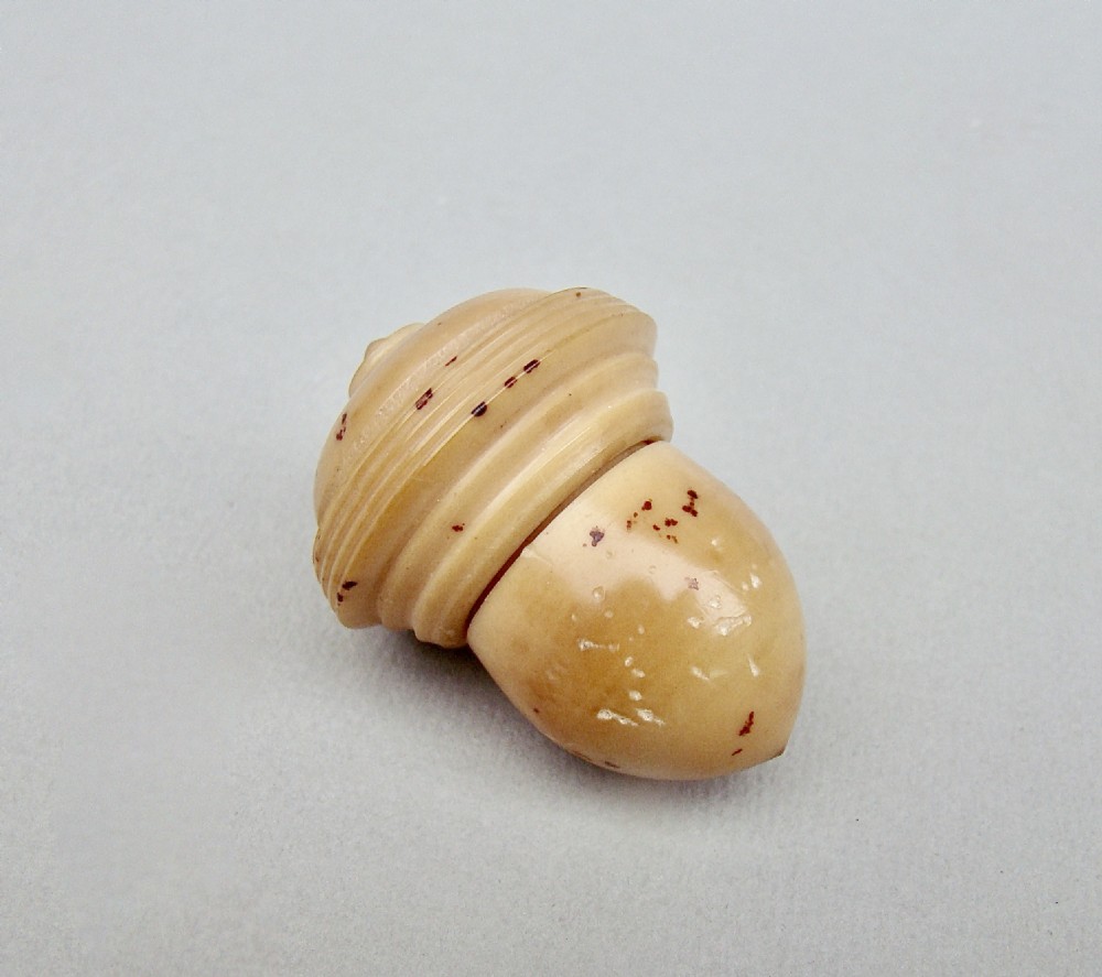 delightful 19th century carved vegetable ivory acorn needle case circa 1860